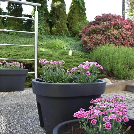 Wakacyjny Przystanek *