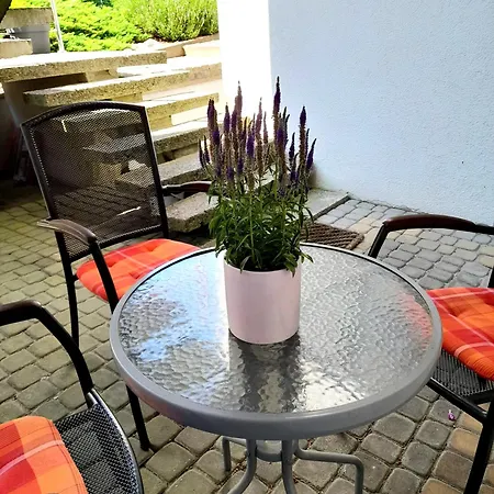 Wakacyjny Przystanek Władysławowo