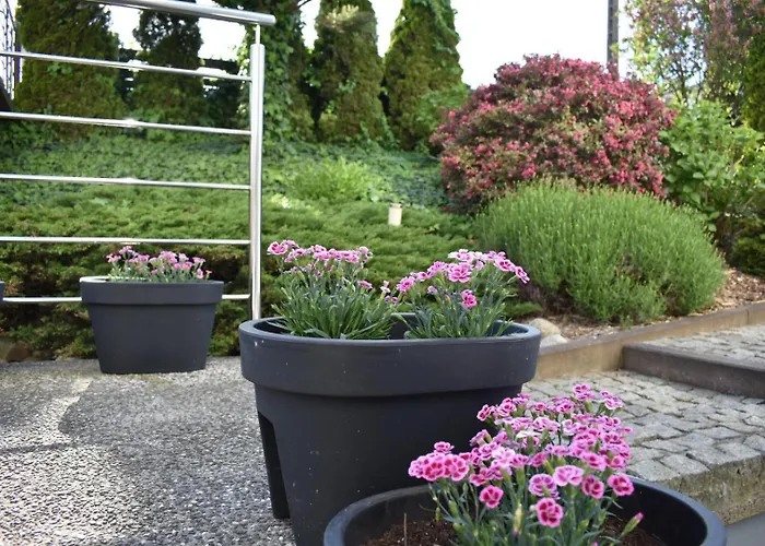 Wakacyjny Przystanek *